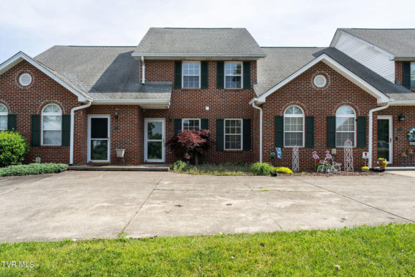149 EAGLE VIEW PRIVATE DR # 149, BLOUNTVILLE, TN 37617 - Image 1