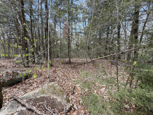 LOT 32 VALLEY VIEW, BECKET, MA 01223, photo 5 of 6