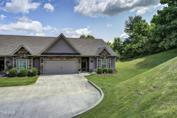 297 COLDWATER DR, JOHNSON CITY, TN 37601 - Image 1