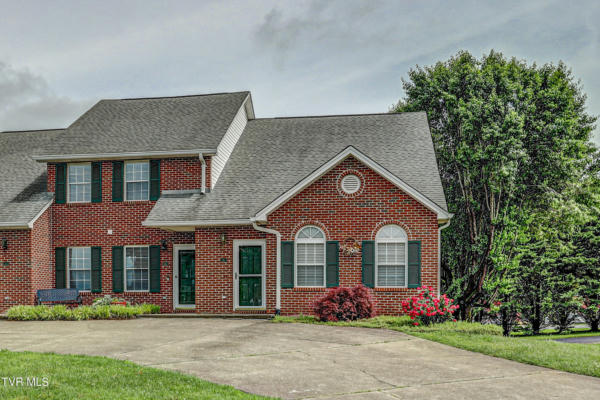 141 EAGLE VIEW PRIVATE DR # 141, BLOUNTVILLE, TN 37617 - Image 1